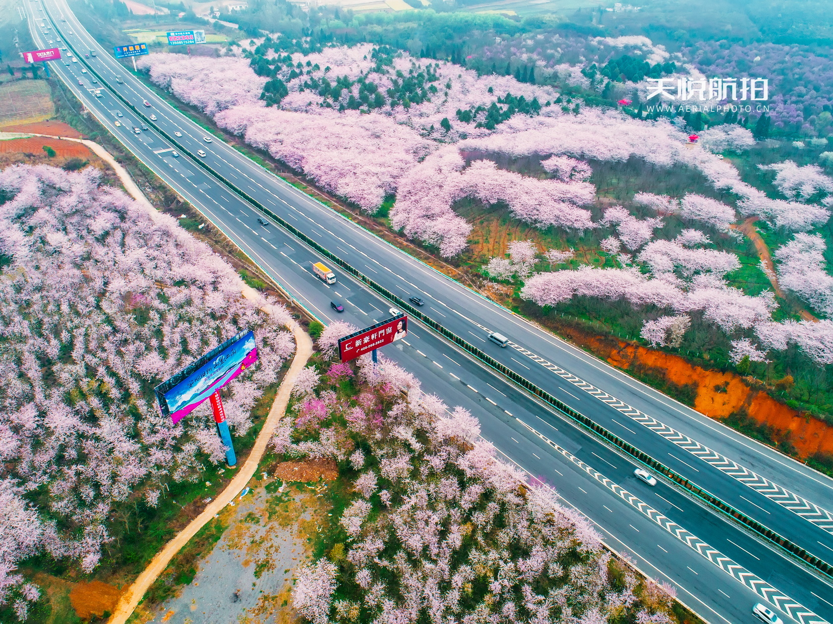 DJI_0003.jpg