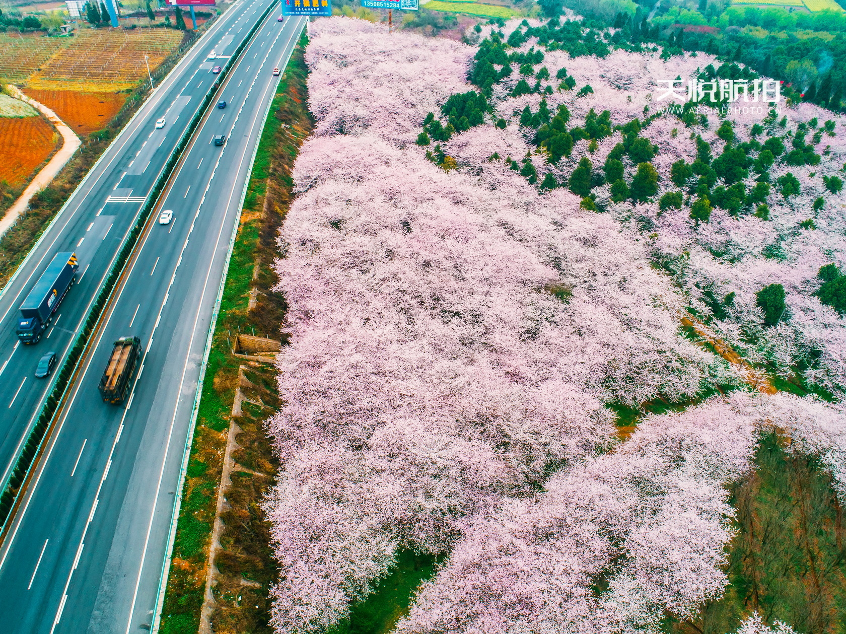 DJI_0001.jpg