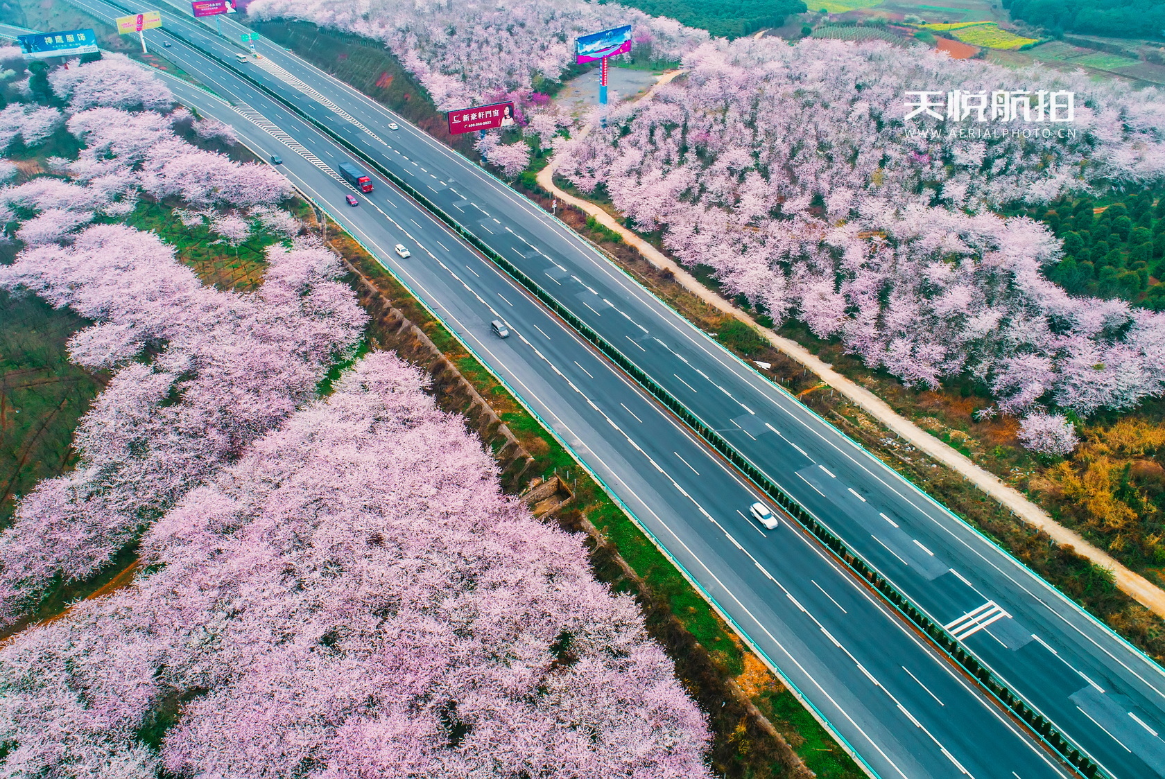 DJI_0004.jpg
