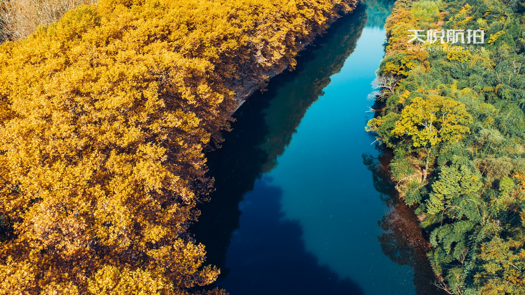 DJI_0006.jpg