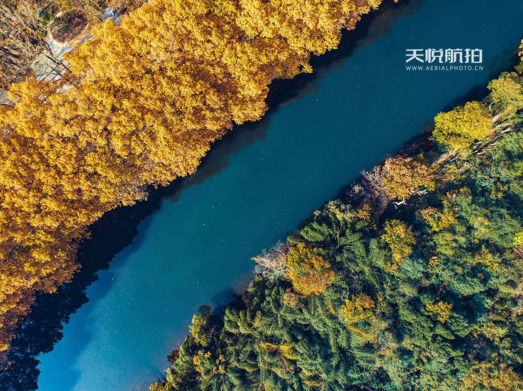DJI_0009.jpg