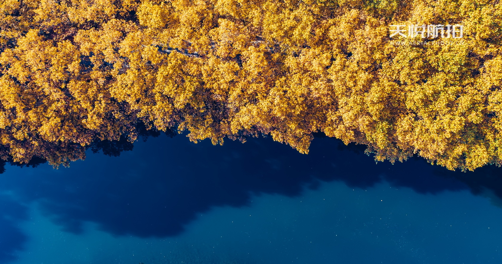 DJI_0008.jpg