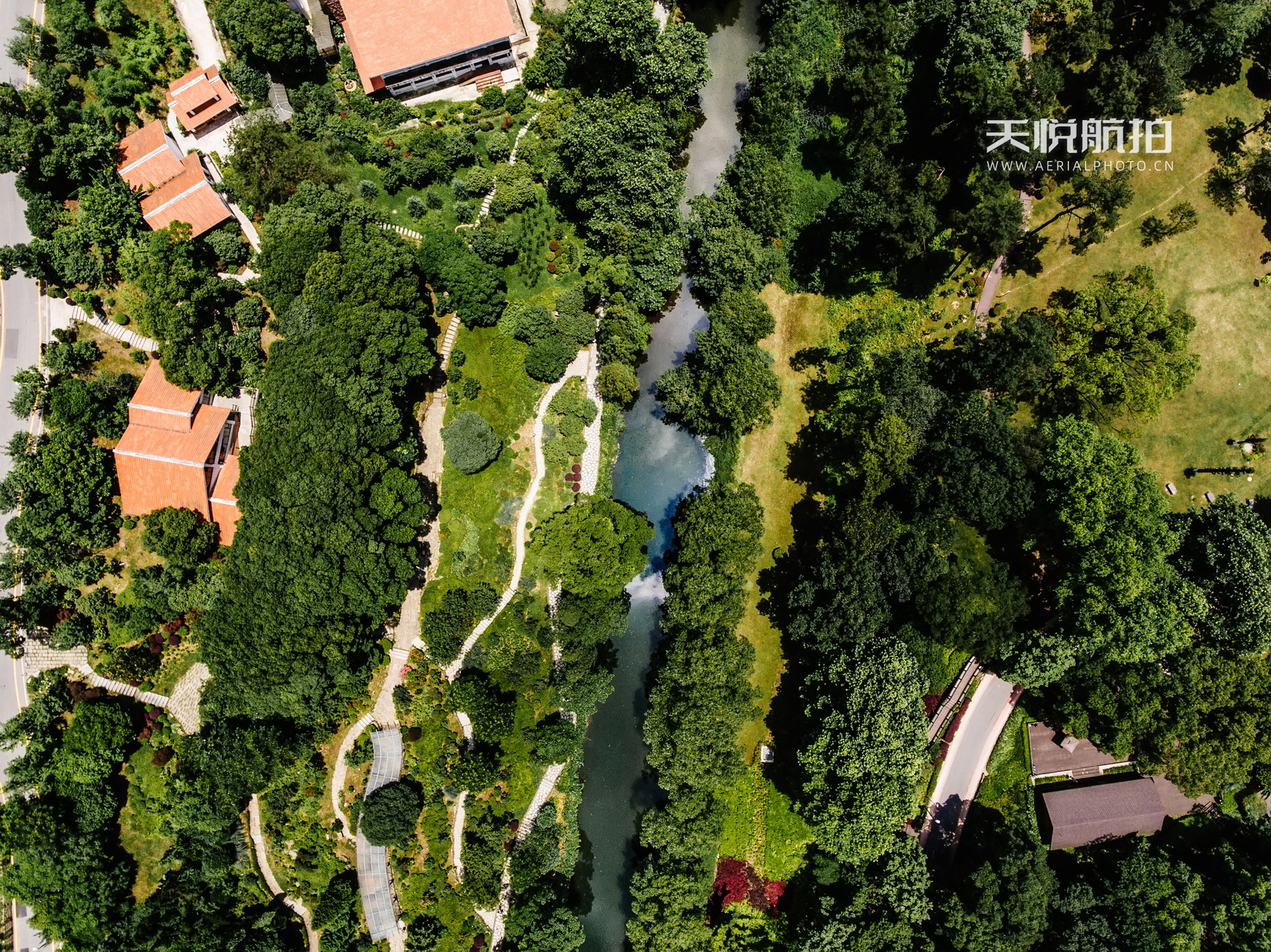 DJI_20160602 (8).jpg